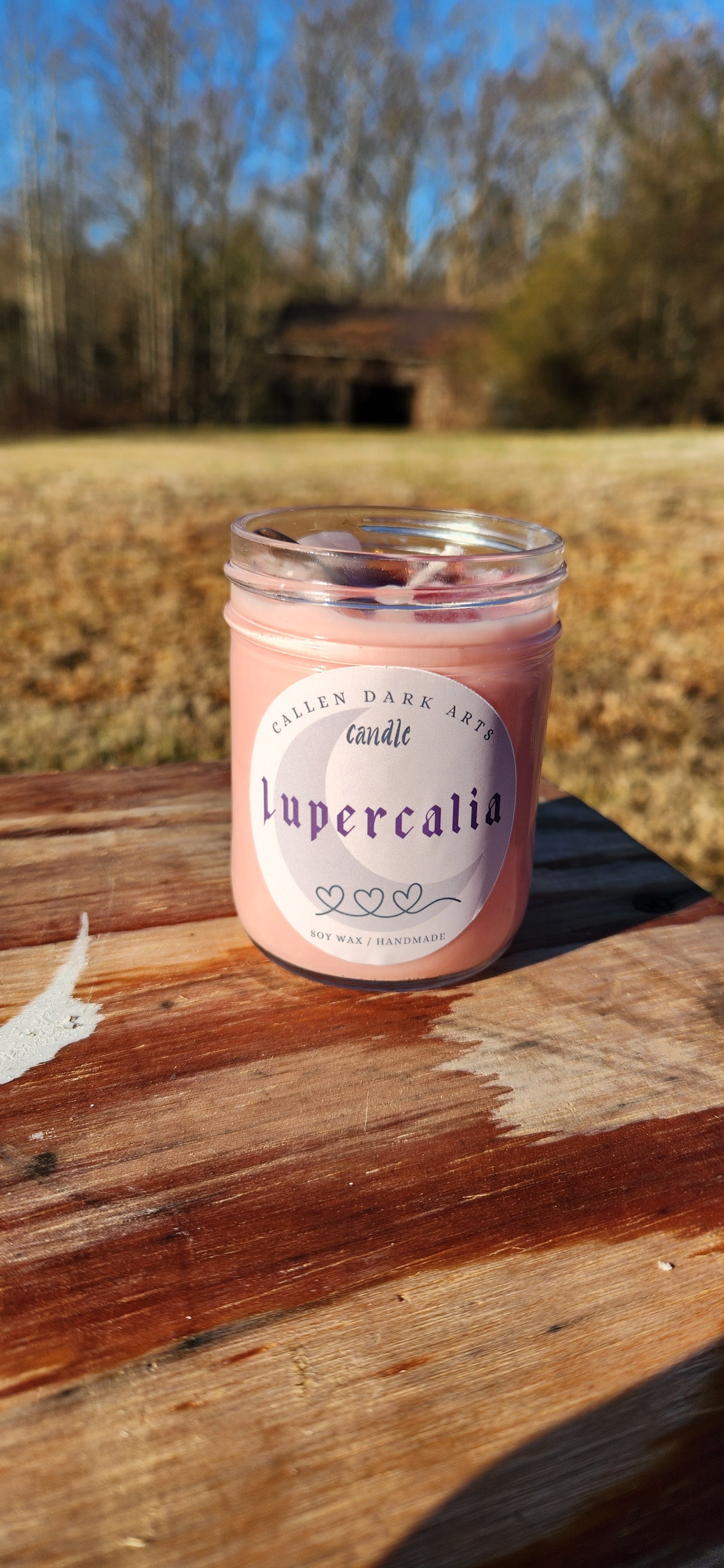 Lupercalia Embrace 8 oz Soy Candle